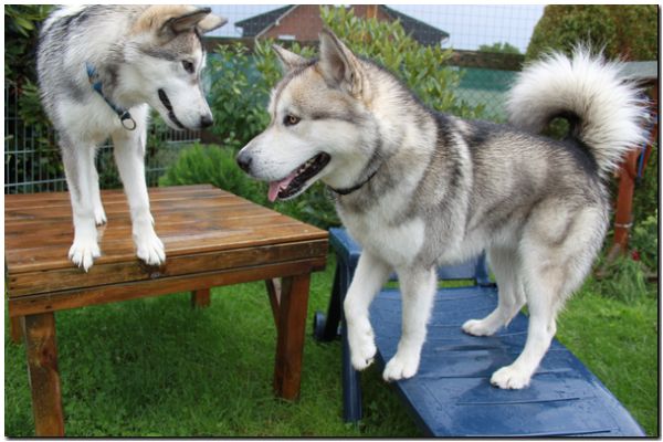 Besuch Nanooq 030.jpg